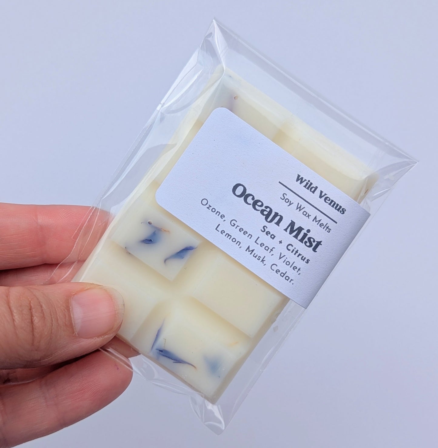 Soy wax melt Sea Spray
