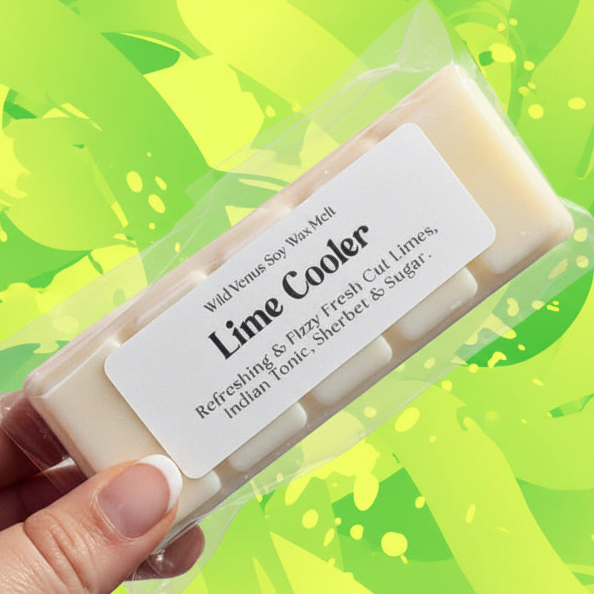 Hand holding a soy wax melt bar in clear packaging with a label on a white background