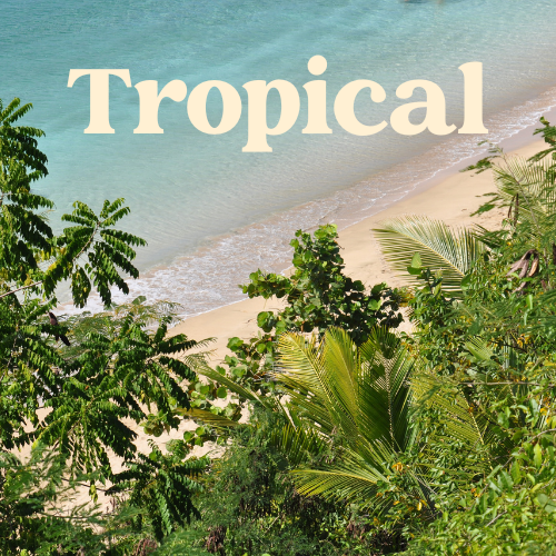 Tropical Soy Wax Melts