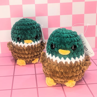 Two Mallards