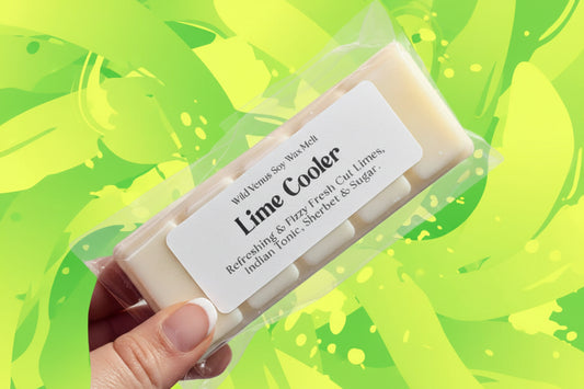 Hand holding a soy wax melt bar  in clear packaging with a label on a white background