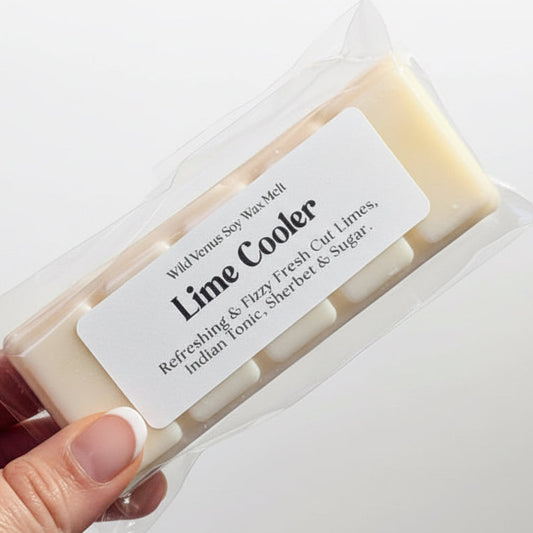 Hand holding a soy wax melt bar  in clear packaging with a label on a white background