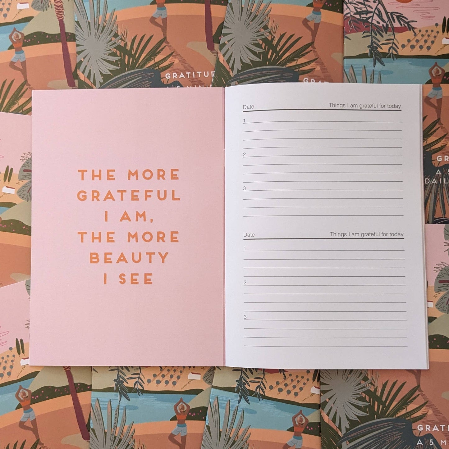 The gratitude notebook on an open page. 