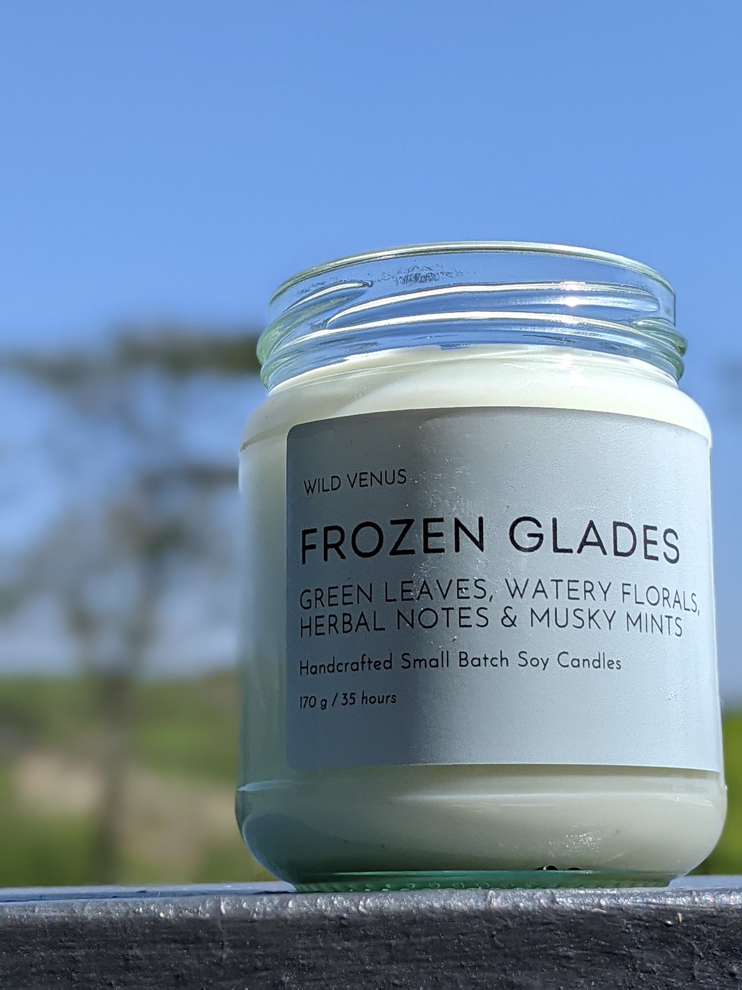 Frozen Glades Soy Candle.