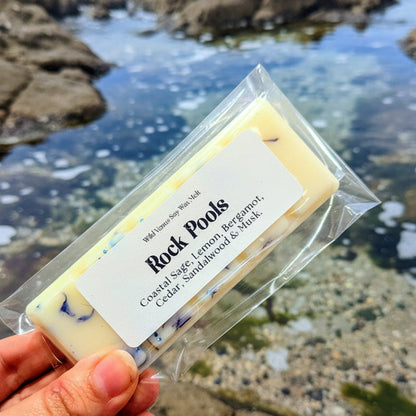 Rock pools coastal wax melt 
