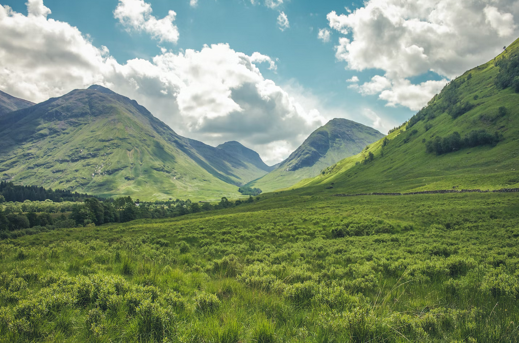 Beautiful lush green hills. 